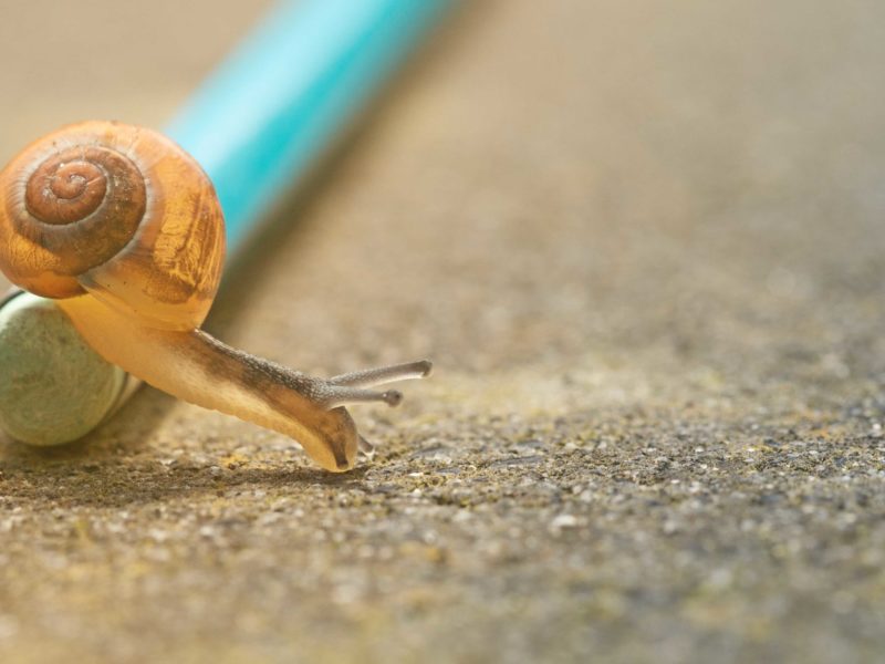Pourquoi Ne Pas Opter Pour Une Slow Communication ?